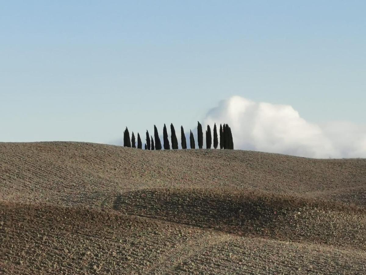 Goccia In Valdorcia Smart Home San Quirico d'Orcia Exterior photo